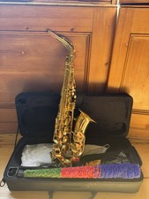 Alto saxophone beginner - saxophone,