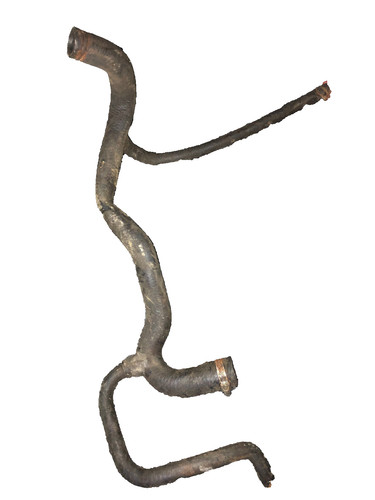 Coolant hose - hose, mg