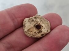 Prehistoric/neolithic