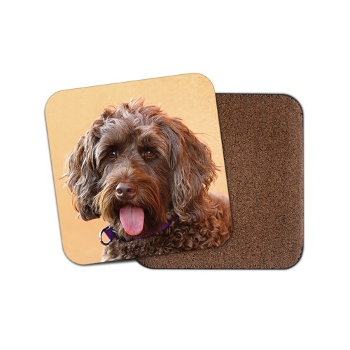 Adorable brown labradoodle - brown,