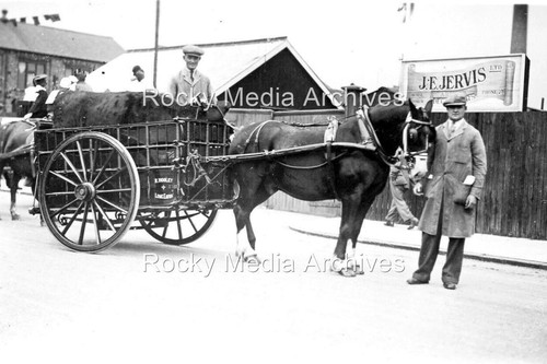 Cty transporting cow - a,