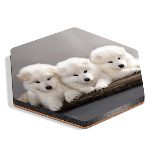 Hexagon mdf coaster - mdf, samoyed