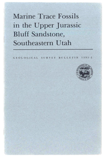 Marine trace fossils the - marine,