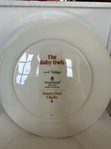 The baby owls wedgwood plate - wedgwood,