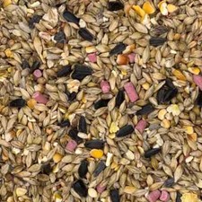 20KG WILD BIRD SEED ALL SEASONS MIX BERRY SUET PELLETS BLACK SUNFLOWER FEED FOOD