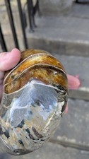 Special offers large fossil - offers,