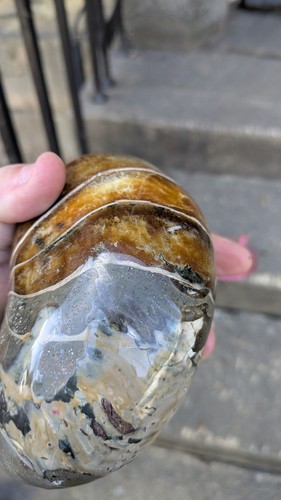Special offers large fossil - offers,