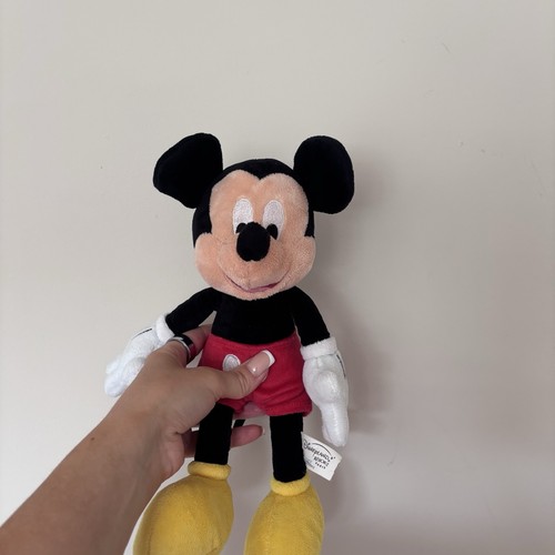 Disneyland paris mickey - paris, mouse