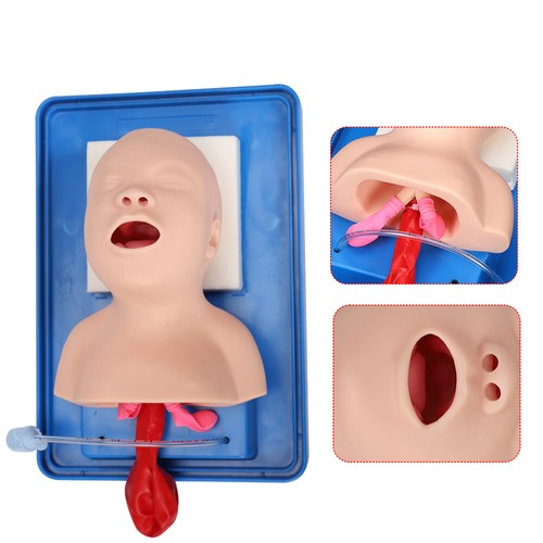 Lab airway intubation manikin - airway,