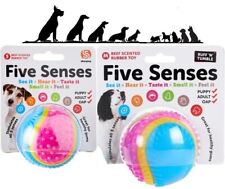 Dog Sensory Ball Blind Deaf Old Puppy Five Senses Toy Beef Scented Internal Bell