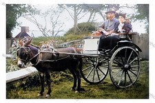 Col0923 donkey cart print - col0923,