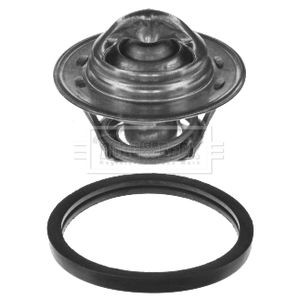 Genuine borg beck - borg, thermostat