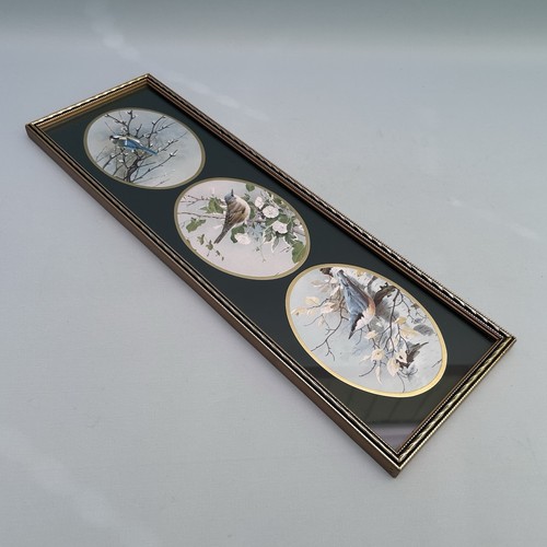 Vintage framed british bird - vintage,