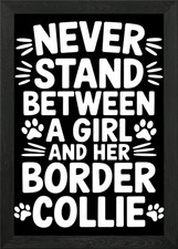 Border Collie Girl Framed Wall