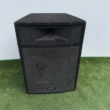 Peavey Pro 15P  110W (1)