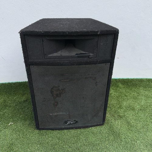Peavey pro 15p - , (1)