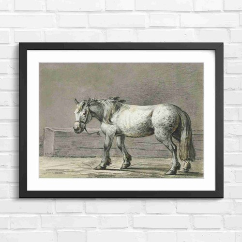 Dappled grey draft horse - grey,