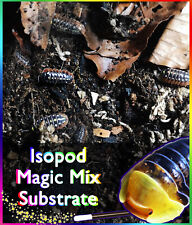 Organic Isopod Magic Mix Substrate - Snail Cockroach Milipedes Springtails Soil