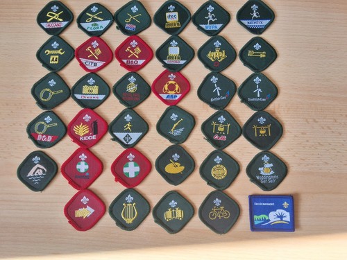 Boy scout proficiency - boy,