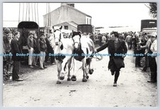 L346127 Appleby Fair The