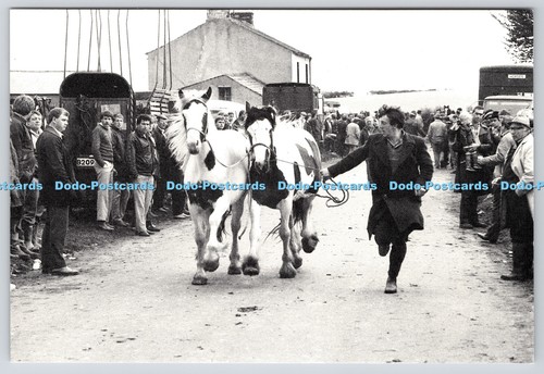 L346127 appleby fair the - appleby,