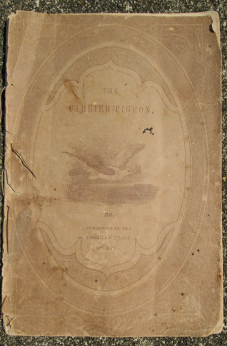 The carrier pigeon - the,