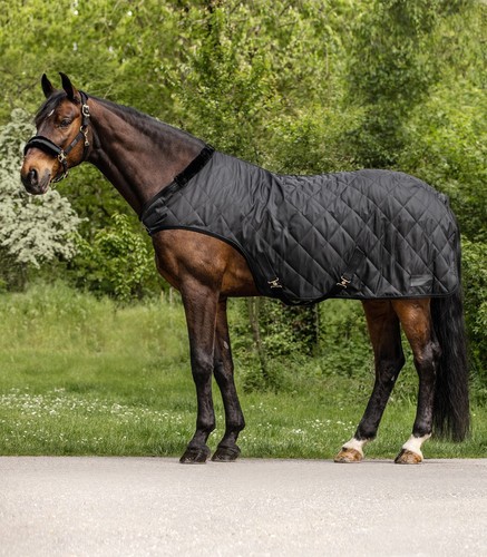 Waldhausen exclusive horse - waldhausen,