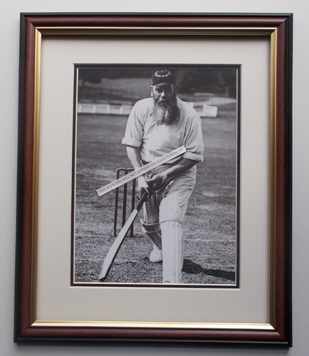 Cricket print w - print,