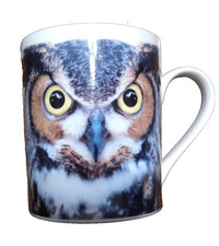 Owl mug. bone China. Gift