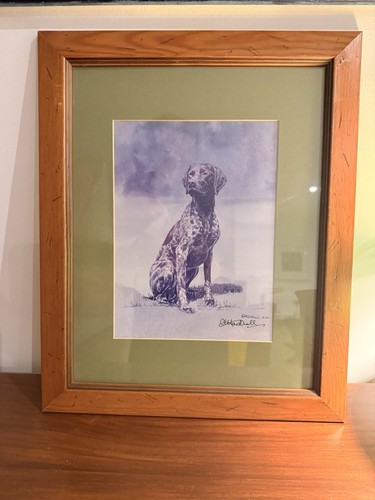 Framed german shorthaired - german,