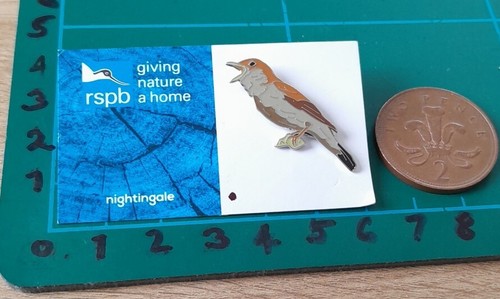 Nightingale pin rspb bird - nightingale,