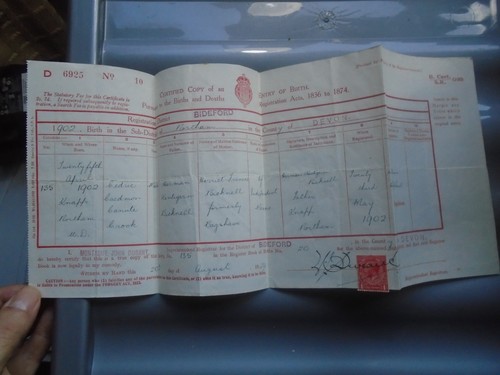 1902 antique birth - 1902, certificate
