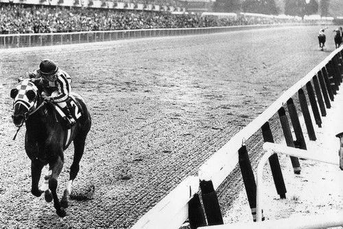 Secretariat 1973 belmont - secretariat,