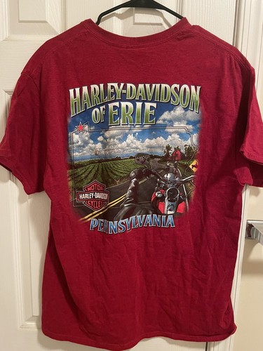 Harley davidson shirt - davidson, adult