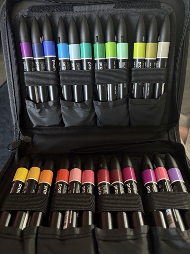 Winsor newton piece case - newton, 25