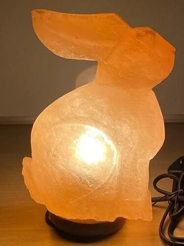 Rabbit shape electric - rabbit,