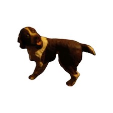 Gorgeous Springer Spaniel