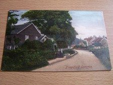 Limpsfield Common Vintage Postcard Surrey J Brasier