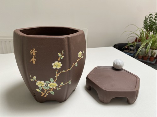 Cascade bonsai pot and - cascade,