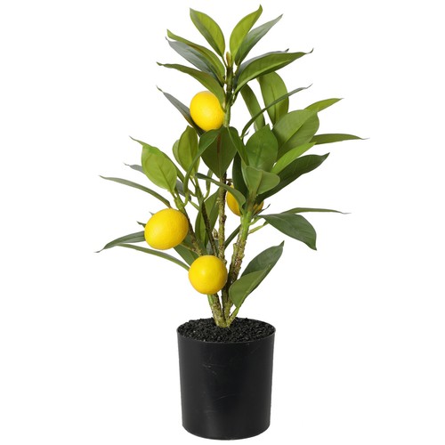 Artificial citrus lemon - citrus,