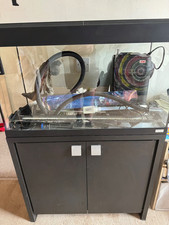 Fish tank with loads of