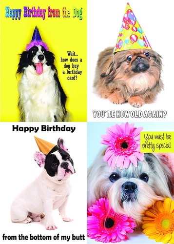 Birthday card pack box - 12-pack, set