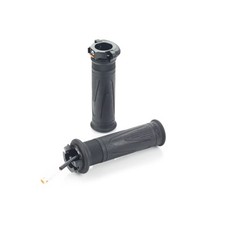 GENUINE TRIUMPH STREET TRIPLE