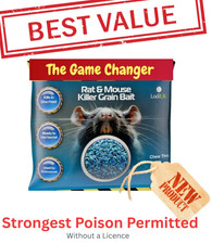 The strongest mouse rat - mouse,