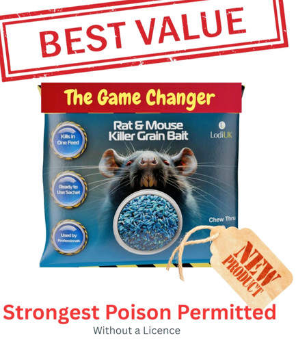 Strongest rat poison acts - strongest,