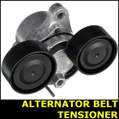 Ribbed belt tensioner - belt,
