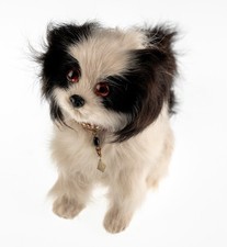 Mid Century Real Fur Miniture