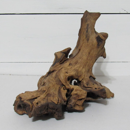 Driftwood home beach garden - home,