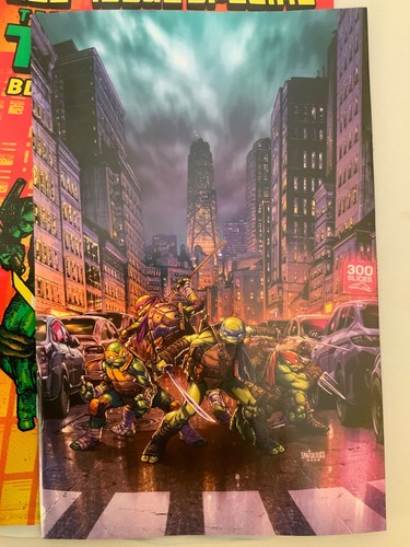 Teenage mutant ninja turtles - teenage,