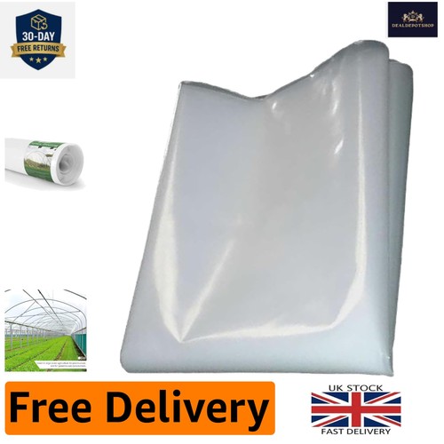 Extra thick clear - x,
